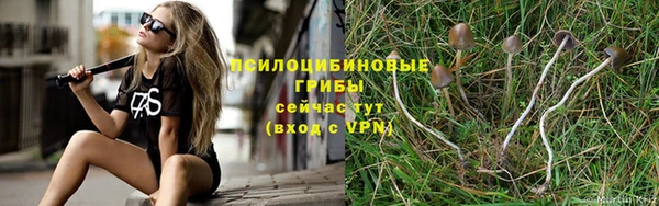 гашиш Алексеевка