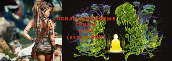 2c-b Алексин