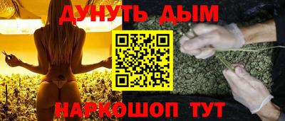 трава Сланцы