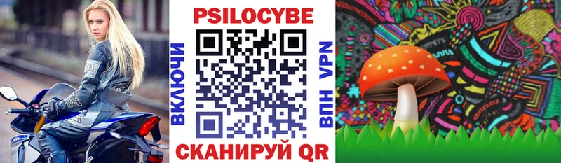 Псилоцибиновые грибы GOLDEN TEACHER  где купить   Обнинск 