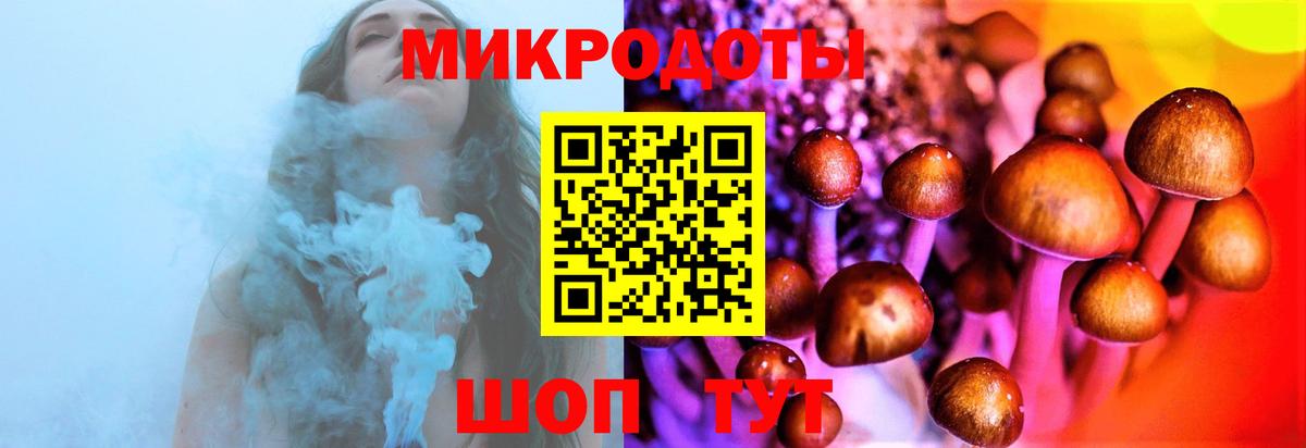 Галлюциногенные грибы Cubensis  Вход с VPN  Обнинск 